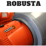 Robusta