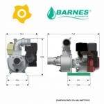 Bomba Autocebante AAG4130HF Barnes 003