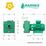Electrobomba Autocebante AE230 Barnes 003