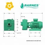 Electrobomba Autocebante AE250 Barnes 003