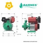 Motobomba Alta Presión HD2100-2HF, -E Barnes 003