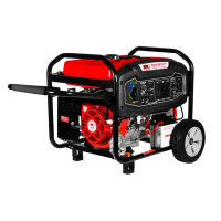 Generador gasolina 11Kw