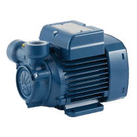 Electrobomba Pedrollo Periférica 3/4" Suc 3/4" Des 1Hp 110/220V 1F