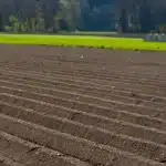 Arado, Surcardor, Aporcador, Acaballonador