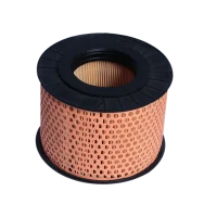 Filtro de Aire Hatz 1B20