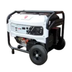 Planta Electrica Gasolina Ducati 6KVA Monofasico 110-220V 7.9gal T Analogo