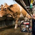 Motobomba Lava ganado KTC 4T Gasolina 1.4Hp Max 31cc Lavaganado action