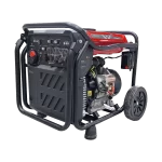 Planta Electrica Gasolina Inverter Ducati 8.0KW 120-240V 2F DGR80002IED