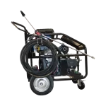 Hidrolavadora Alta Presión Blue Clean Gasolina 6900psi 22hp Carro, 06.13.05.1050 Lateral Der