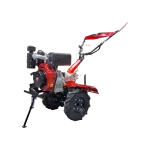 Motoazada Ducati DiEsel 10Hp T Directa DTL120004DS vista ppal