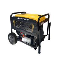 Planta Eléctrica Gasolina 10kVA 110/220v 1f Advance AG12000E