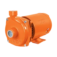Electrobomba Centrífuga 1 1/4"×1" 1/2Hp Truper 115v/230v