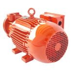Motobomba Regenerativa 1-1/4″x 1″ 5.0Hp IHM TE-500MW